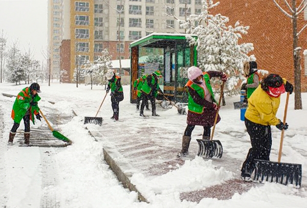 신도안면, 자율방재단과 대설한파 제설작업 모습