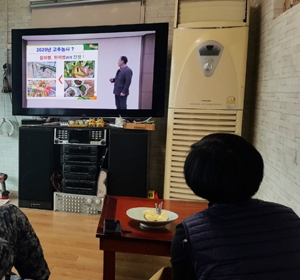 새해 농업인 온라인 실용교육 실시 모습