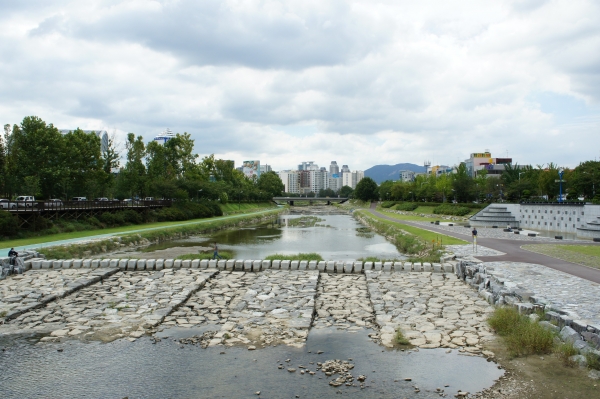 유성천 전경