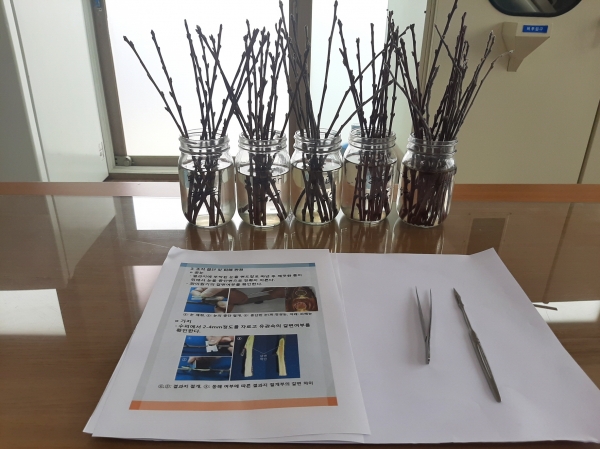 서천군 과수 동해피해 조기판별 기술지원 추진