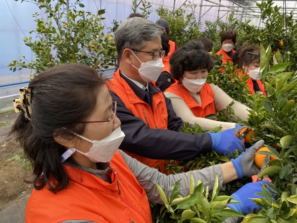 여성단체와 농촌봉사활동 진행 모습