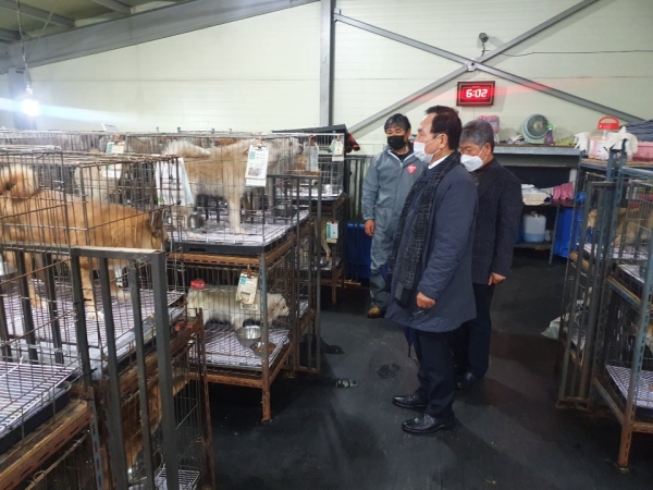 박상돈 천안시장이 지난 21일 유기동물보호소의 실태와 애로사항을 파악하기 위해 목천읍에 위치한 유기동물보호소 현장 점검 모습