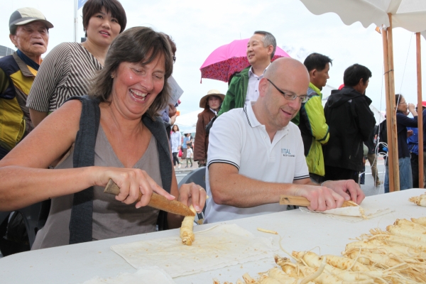 금산인삼축제 체험 모습