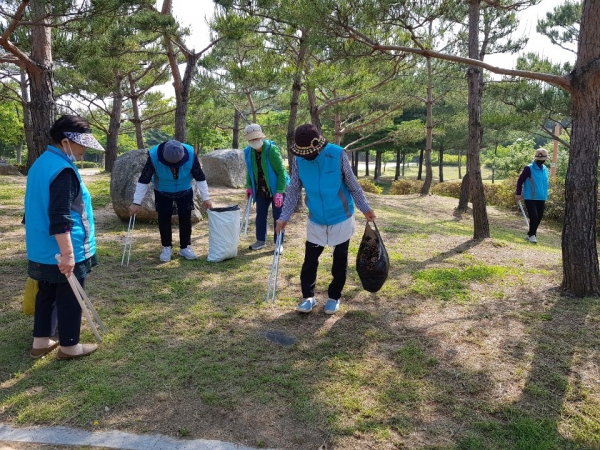천안시 노인일자리 사업에 참여한 어르신이 쓰레기 수거를 하고 있다.