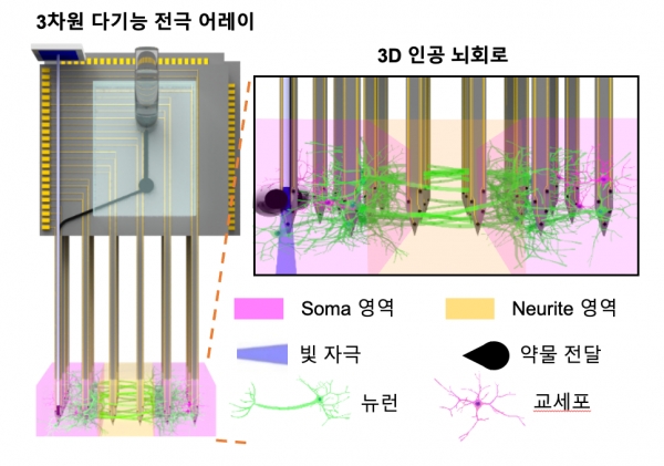 3D 인공 뇌 회로와 자극 및 신경 신호 측정을 위한 3차원 다기능 전극 어레이