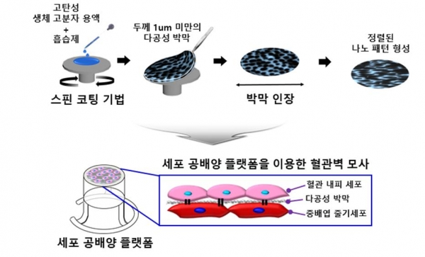 고탄성 생체적합성 고분자를 이용하여 정렬된 나노 패턴을 갖는 세포 공배양 플랫폼 제작과정을 보여주는 모식도
