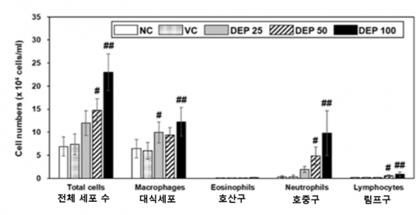 디젤분진 노출 실험군의 기관지 세척액 내 염증세포 수의 증가 확인