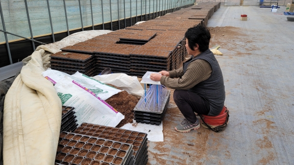 청양군  고추씨 파종현장 기술지도 집중