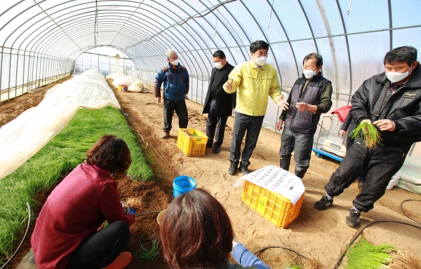 맹정호 서산시장이 29일 음암 달래농가를 방문해 이야기 나누는 장면