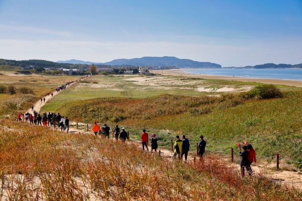 한국관광100선 신두리 해안사구