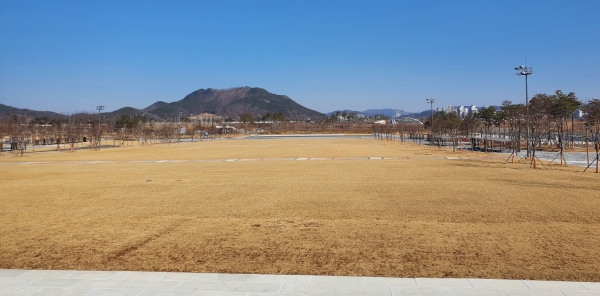 세종중앙공원 조형물 설치 부지