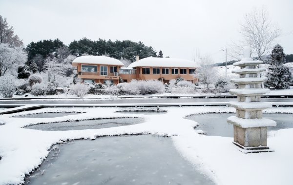 천리포수목원 (설경)