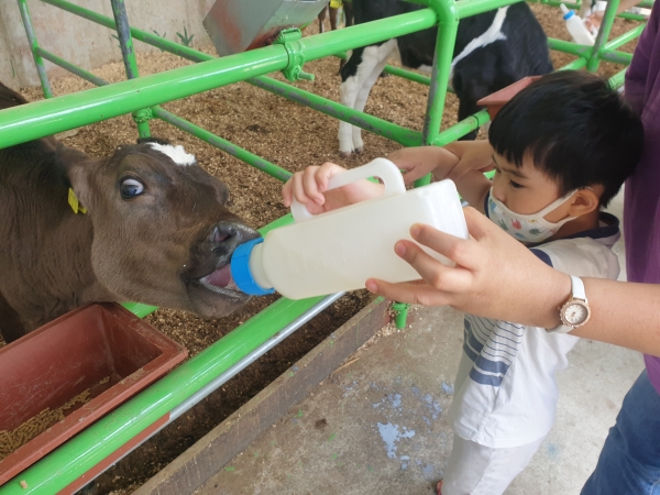 지난해 진행된 천안시 드림스타트 목장 체험