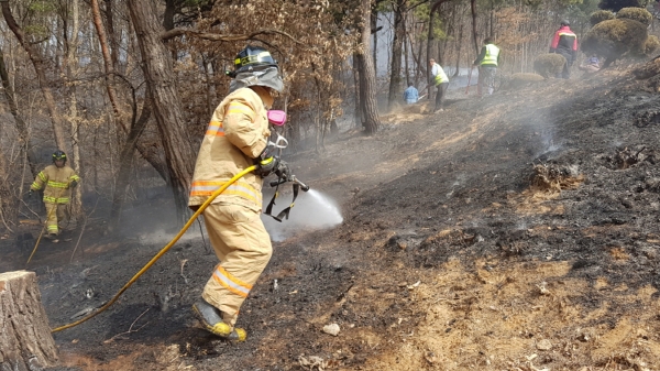 산불예방 관련 모습