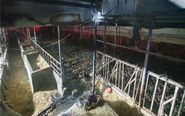 장문면 의용소방대원이 진압한 축사 화재 현장