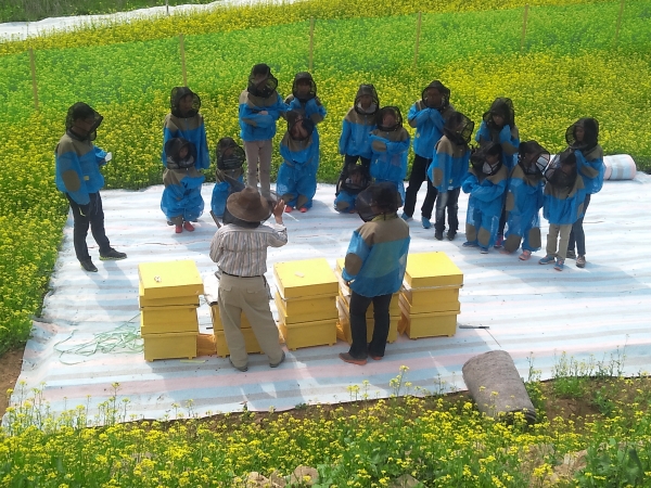 양봉체험 주민교육 현장사진