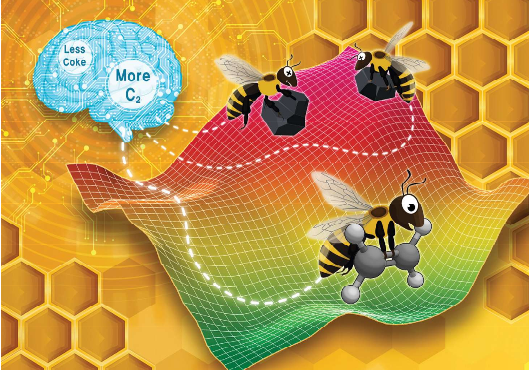 원하는 생성물(C2 화합물)의 수율은 높이고 부산물(숯, coke)의 생성을 최소화하는 조건을 찾기 위해 사용된 인공 꿀벌 군집(Artificial Bee Colony) 알고리즘 그림.