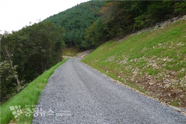 보령 옥마산 임도