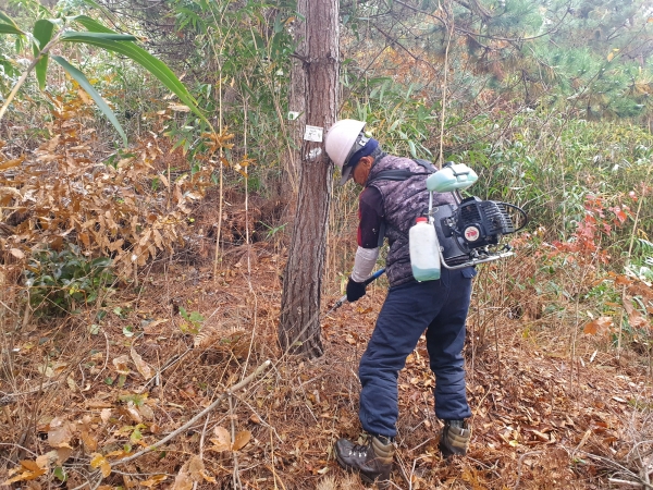 송림산림욕장 등 주변 임야 4.7ha, 나무주사 추진
