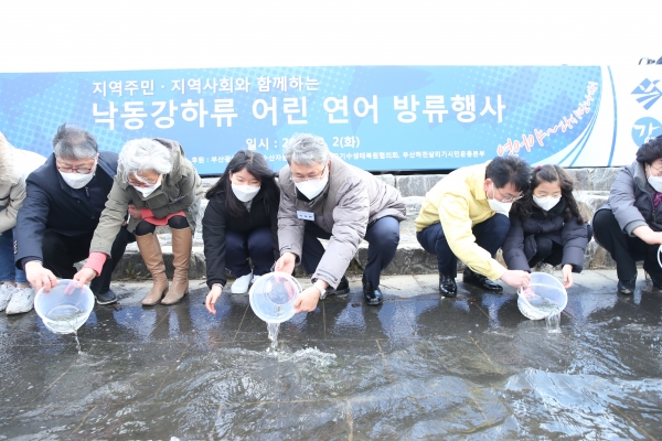 낙동강하류 어린 연어 방류행사 사진