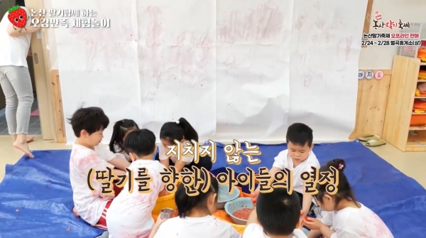 논산딸기축제(오감만족딸기체험)