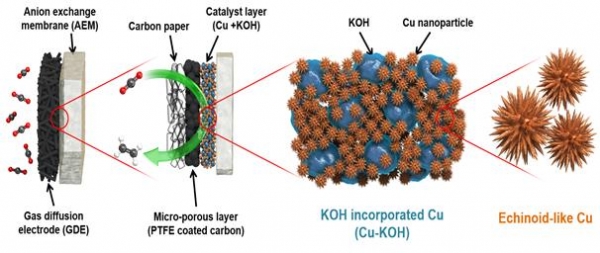 [그림 1]염기성 물질이 첨가된 성게 형태의 나노 구리 촉매 전극을 이용한 이산화탄소 전환 시스템 개요도