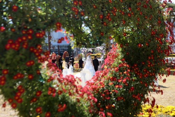 2020년 당진시청 잔디광장에서 진행된 작은 결혼식 사진