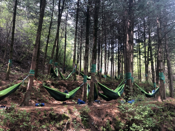 지난 4일 국립산림치유원 잣나무숲길에서 고객들이 해먹프로그램에 참여하고 있다.