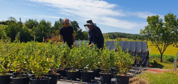 도시청년 초보농부 플랫폼 조성사업” 추진