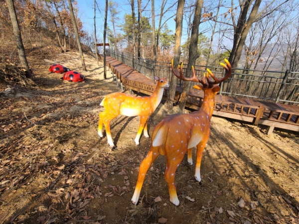 영인산 무장애나눔길 사진
