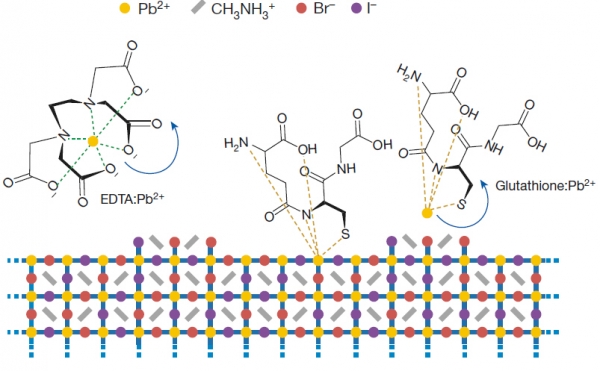 페로브스카이트 표면 리간드 처리에 대한 모식도