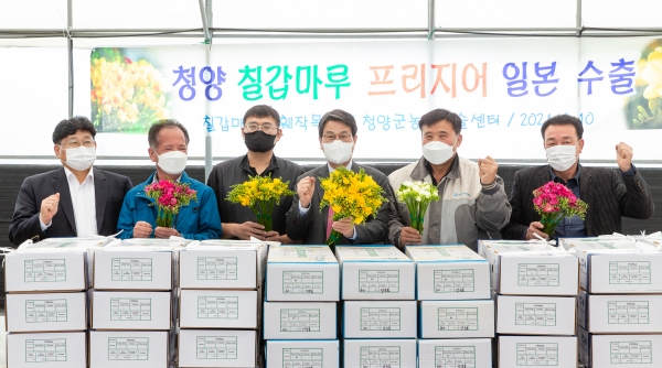 청양지역 프리지어 ‘향기 싣고’ 일본 수출-10일 출하식