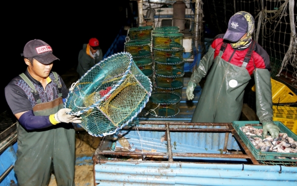 꽃게잡이 모습(자료사진).