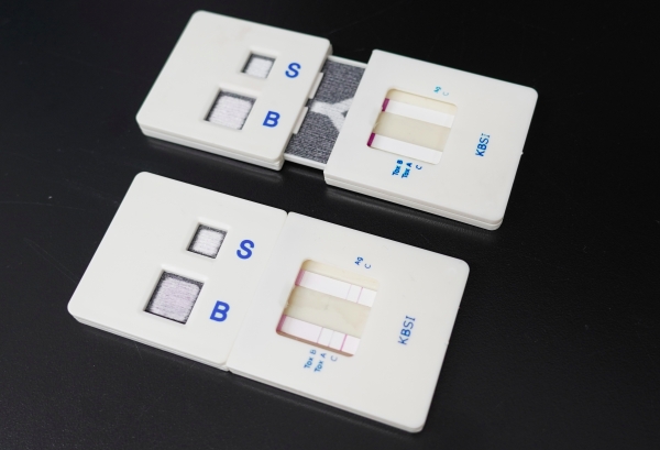 KBSI 연구팀이 개발한 mPAD