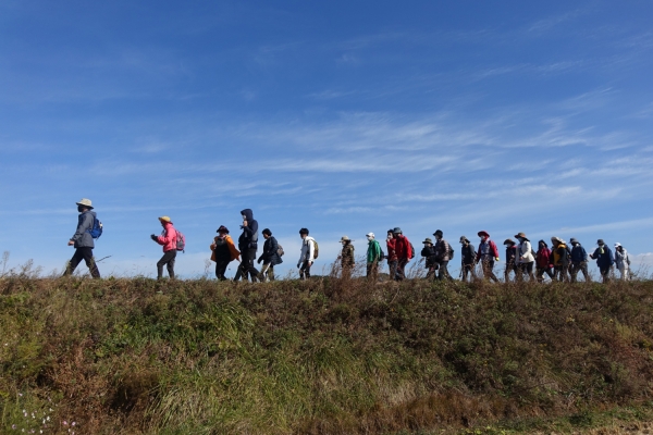 지난해 가로림만 아라메길 걷기여행 장면