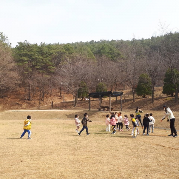 숲 해설가 선생님과 신나게 놀면서 배워요