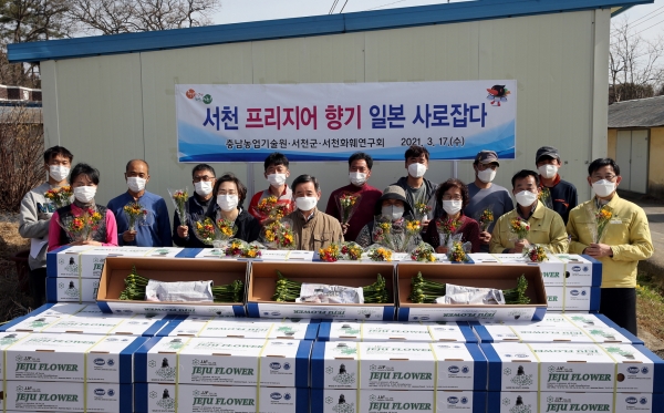 서천 프리지아 일본 수출식 모습