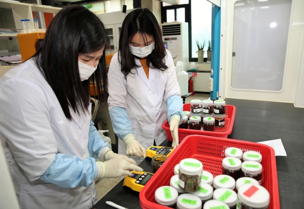 군 농업기술센터에서 퇴비 부숙도를 검사하고 있는 모습