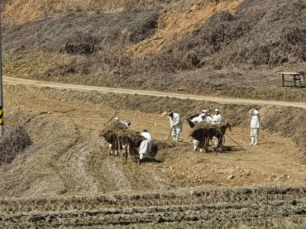 전통농업 생산재현 행사 모습