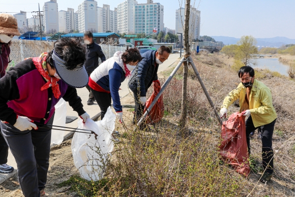 계룡시 국토대청결 운동 실시 모습