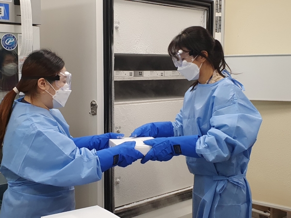 화이자 백신 도착 모습