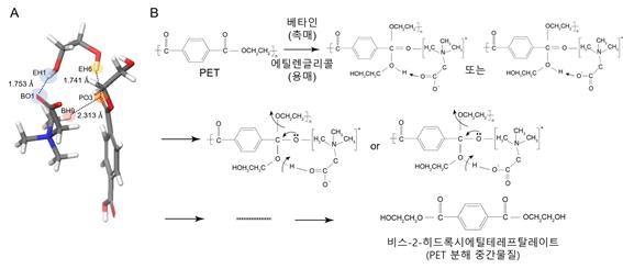 베타인에 의한 PET 분해 원리