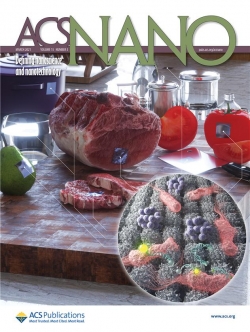 나노종기원이 개발한 나노구조체를 이용한 식중독 유해균 실시간 포집 및 신속현장판별기술이 ACS Nano 표지논문으로 선정됐다.