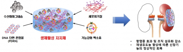 재생을 촉진하는 생리활성물질을 포함한 생체활성 지지체