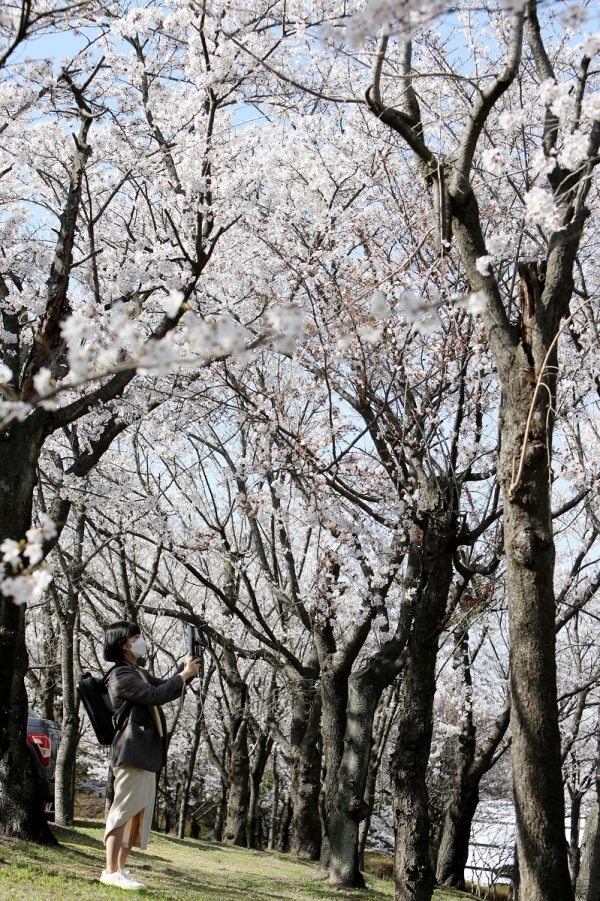 봄옷 갈아입은 목원대 교정