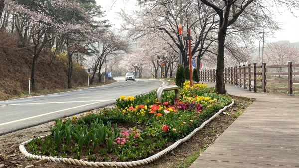 오동선 일원 화단에 꽃길 조성