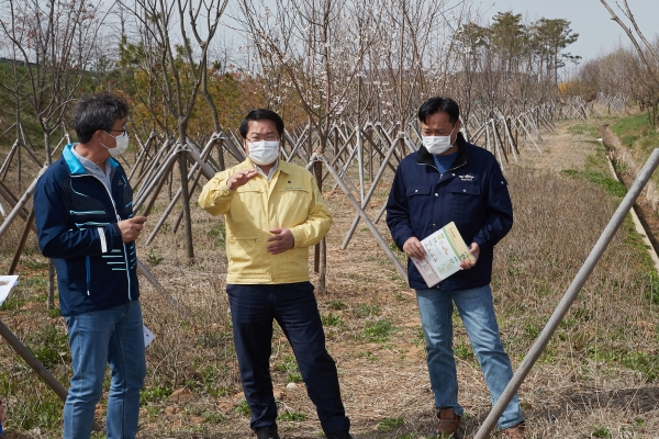 오세현 시장 미세먼지 차단숲 현장방문