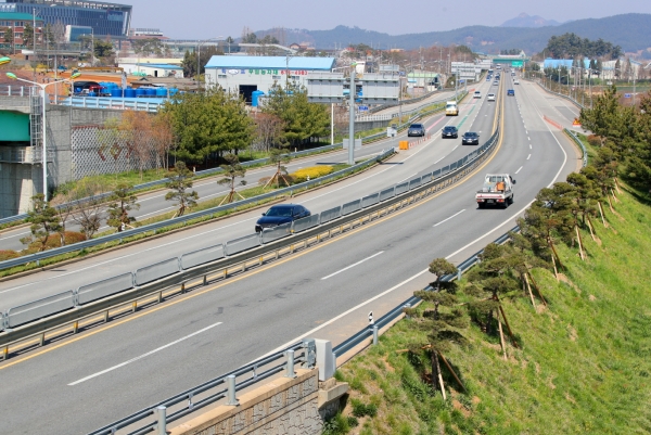 국도32호선 ‘소나무 명품 가로숲’ 모습