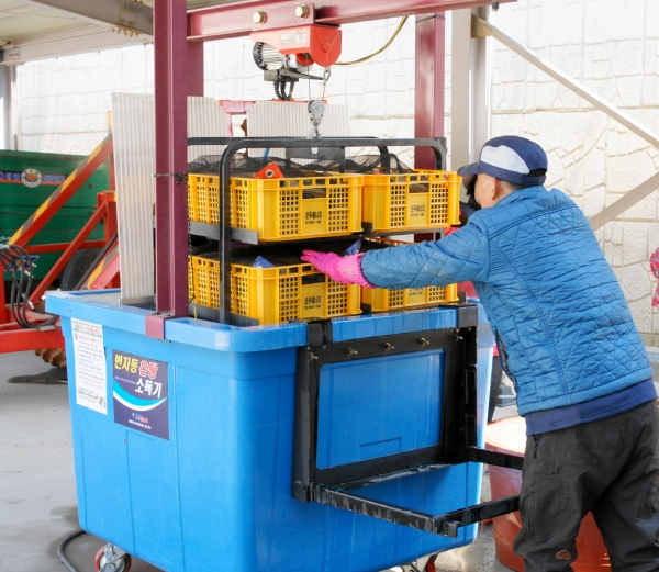 볍씨 온탕소독 모습.