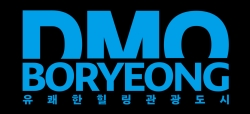 보령시 DMO CI